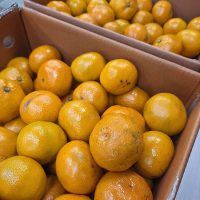 웬디20260102_120529